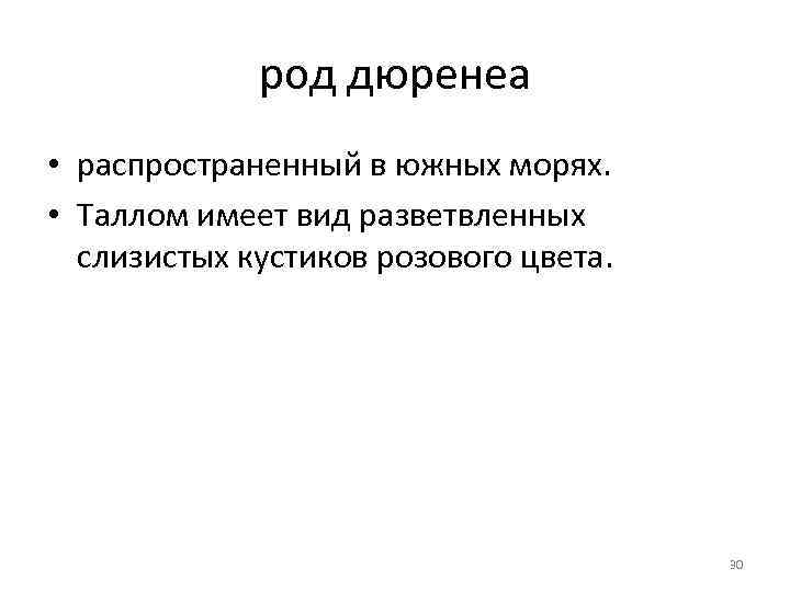 род дюренеа • распространенный в южных морях. • Таллом имеет вид разветвленных слизистых кустиков