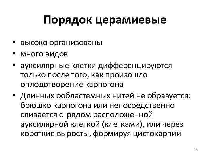 Порядок церамиевые • высоко организованы • много видов • ауксилярные клетки дифференцируются только после