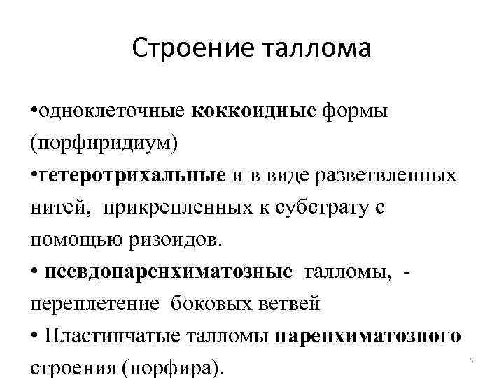 Строение таллома • одноклеточные коккоидные формы (порфиридиум) • гетеротрихальные и в виде разветвленных нитей,