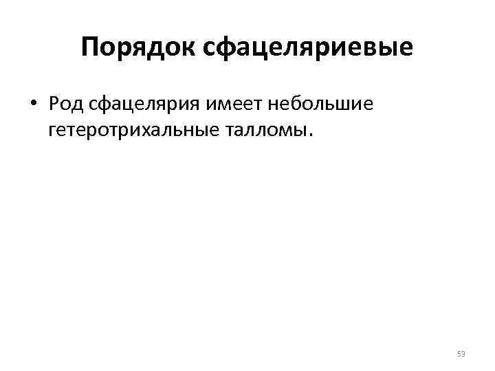 Порядок сфацеляриевые • Род сфацелярия имеет небольшие гетеротрихальные талломы. 53 