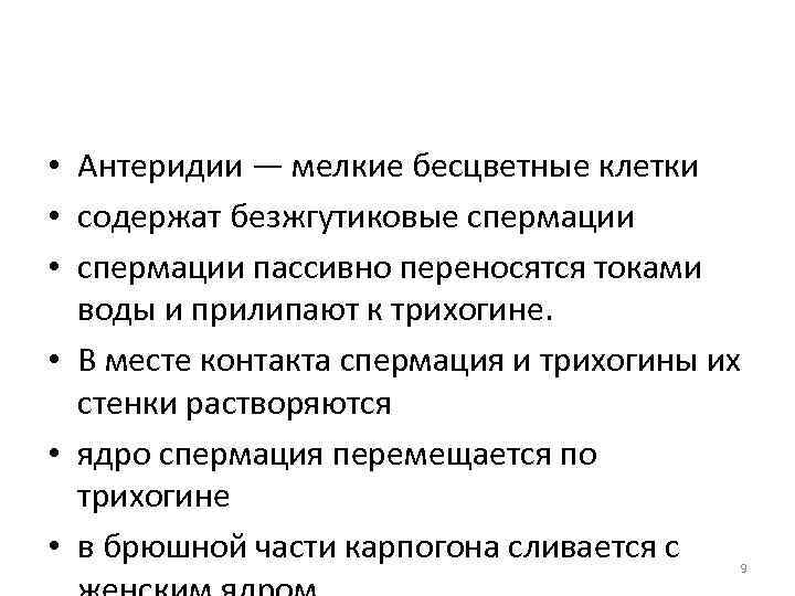  • Антеридии — мелкие бесцветные клетки • содержат безжгутиковые спермации • спермации пассивно