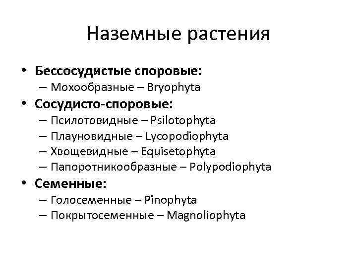 Наземные растения • Бессосудистые споровые: – Мохообразные – Bryophyta • Сосудисто-споровые: – Псилотовидные –