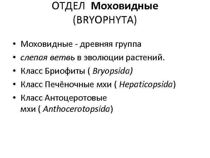 ОТДЕЛ Моховидные (BRYOPHYTA) • • • Моховидные - древняя группа слепая ветвь в эволюции
