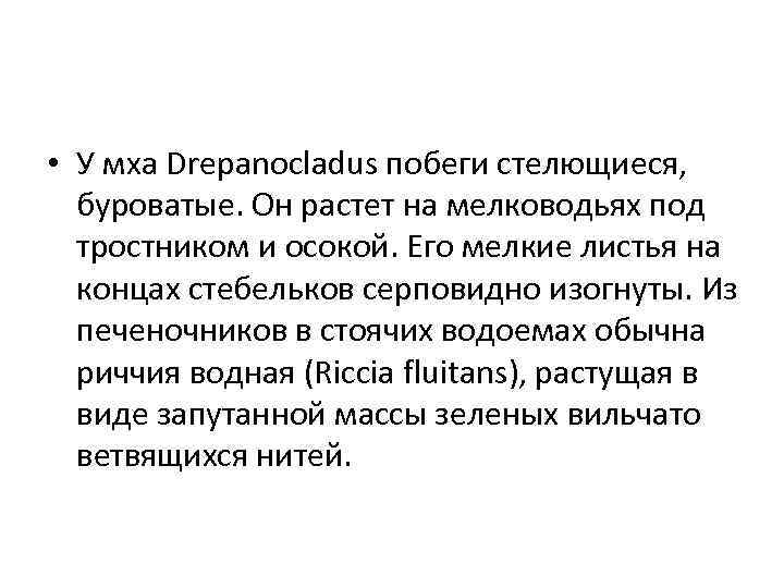  • У мха Drepanocladus побеги стелющиеся, буроватые. Он растет на мелководьях под тростником