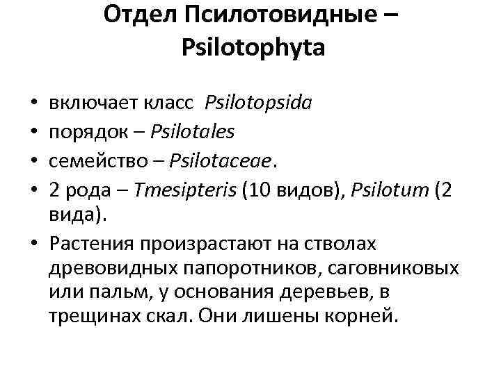 Отдел Псилотовидные – Psilotophyta включает класс Psilotopsida порядок – Psilotales семейство – Psilotaceae. 2