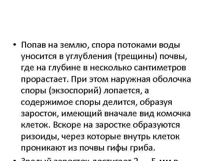  • Попав на землю, спора потоками воды уносится в углубления (трещины) почвы, где