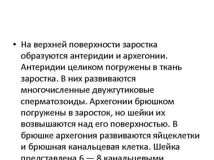  • На верхней поверхности заростка образуются антеридии и архегонии. Антеридии целиком погружены в
