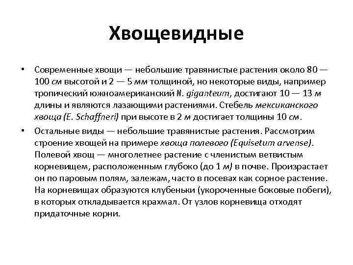 Хвощевидные • Современные хвощи — небольшие травянистые растения около 80 — 100 см высотой