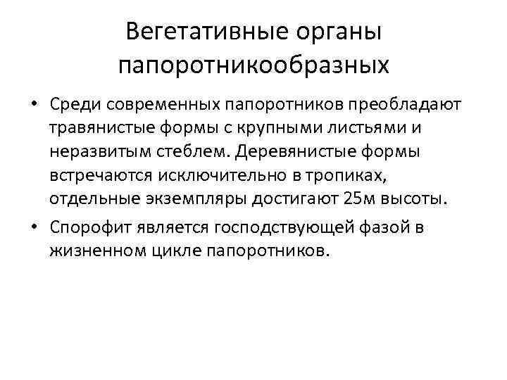 Вегетативные органы папоротникообразных • Среди современных папоротников преобладают травянистые формы с крупными листьями и