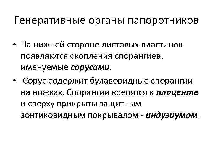Генеративные органы папоротников • На нижней стороне листовых пластинок появляются скопления спорангиев, именуемые сорусами.