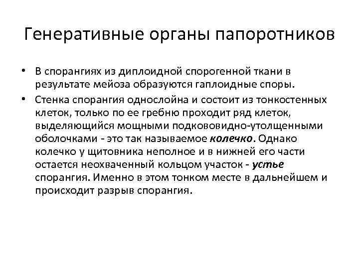Генеративные органы папоротников • В спорангиях из диплоидной спорогенной ткани в результате мейоза образуются