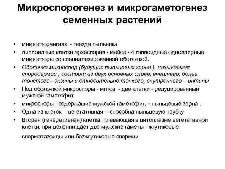 Микроспорогенез и микрогаметогенез семенных растений • • микроспорангиях - гнезда пыльника диплоидные клетки археспория