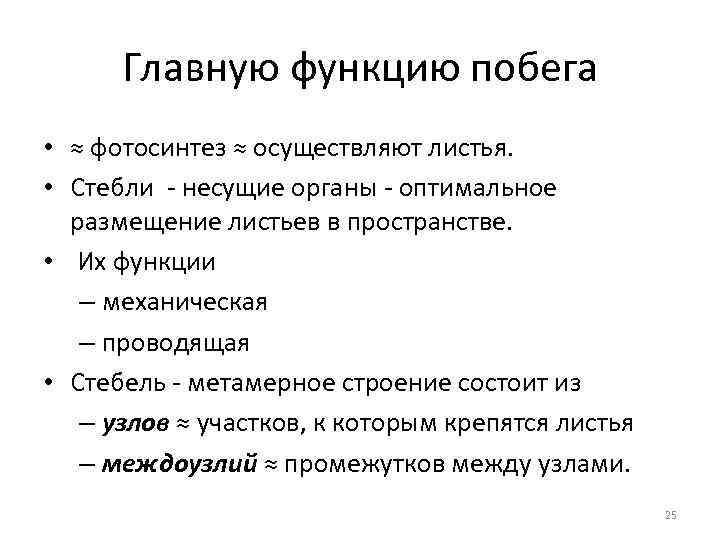 Функции побега. Функции побега биология 6 класс. Функции побега биология 5 класс. Главная функция побега 6 класс. Функции побега растения.