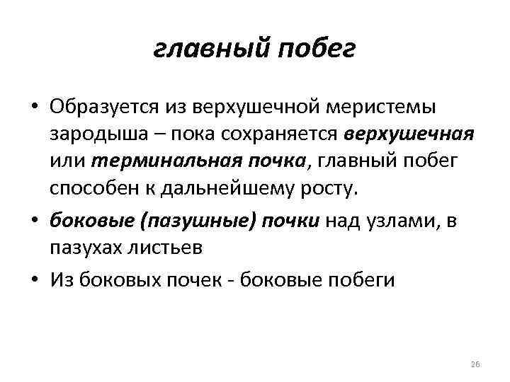 главный побег • Образуется из верхушечной меристемы зародыша – пока сохраняется верхушечная или терминальная