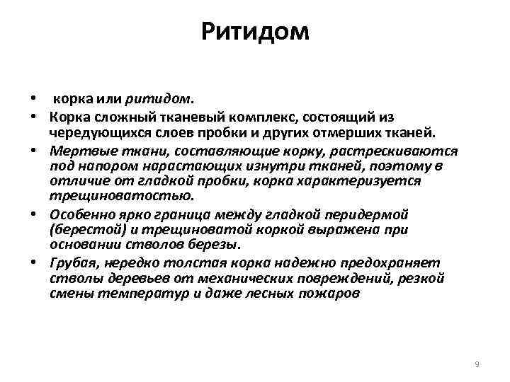Ритидом • корка или ритидом. • Корка сложный тканевый комплекс, состоящий из чередующихся слоев