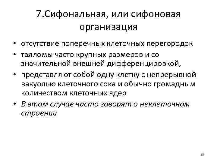 7. Сифональная, или сифоновая организация • отсутствие поперечных клеточных перегородок • талломы часто крупных