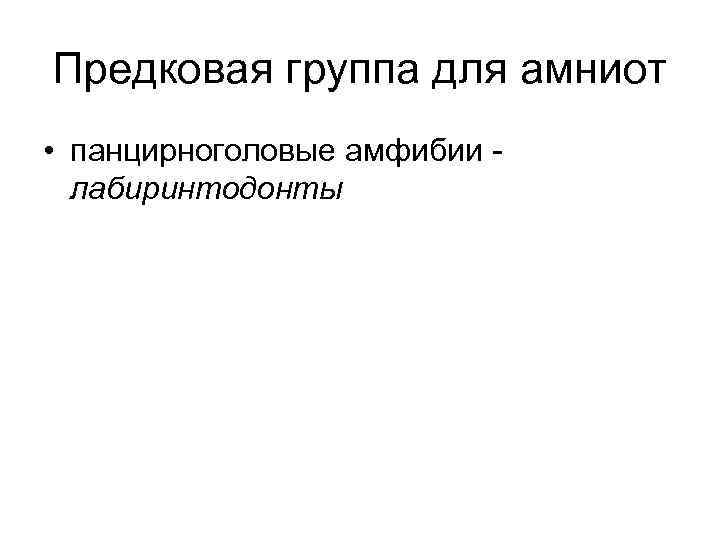 Предковая группа для амниот • панцирноголовые амфибии - лабиринтодонты 