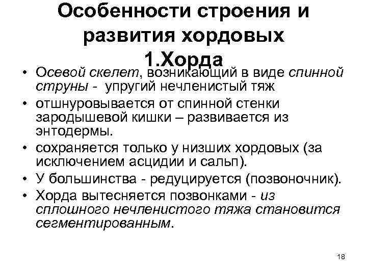 Особенности строения и развития хордовых 1. Хорда • Осевой скелет, возникающий в виде спинной