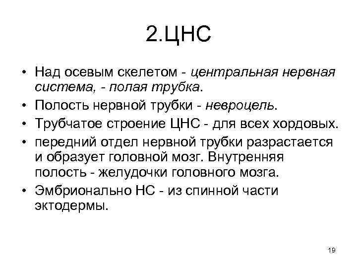 2. ЦНС • Над осевым скелетом - центральная нервная система, - полая трубка. •