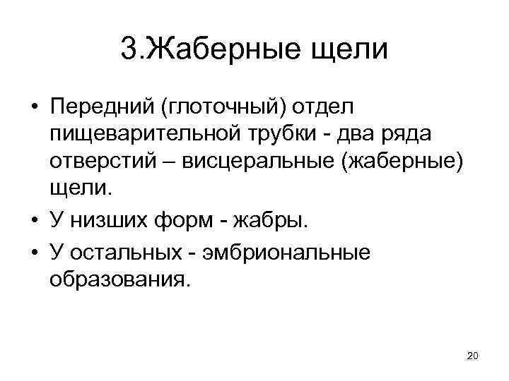 3. Жаберные щели • Передний (глоточный) отдел пищеварительной трубки - два ряда отверстий –