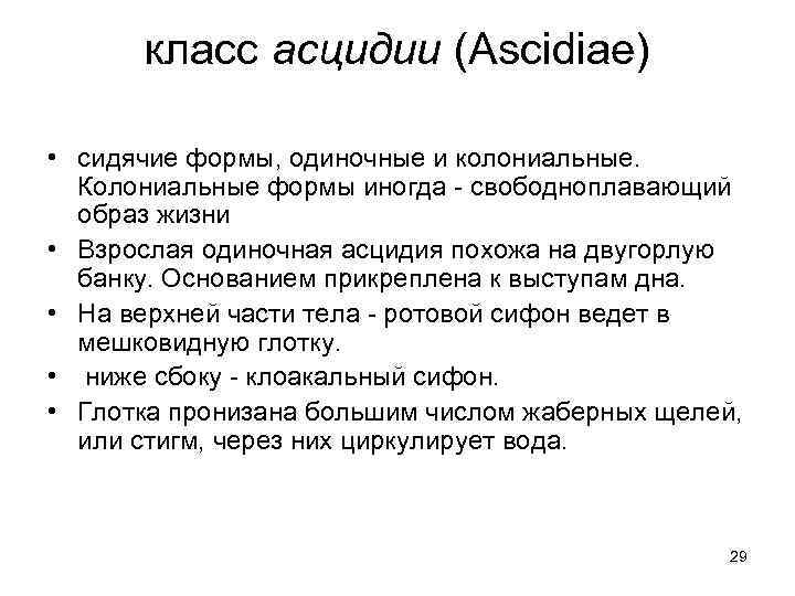 класс асцидии (Ascidiae) • сидячие формы, одиночные и колониальные. Колониальные формы иногда - свободноплавающий