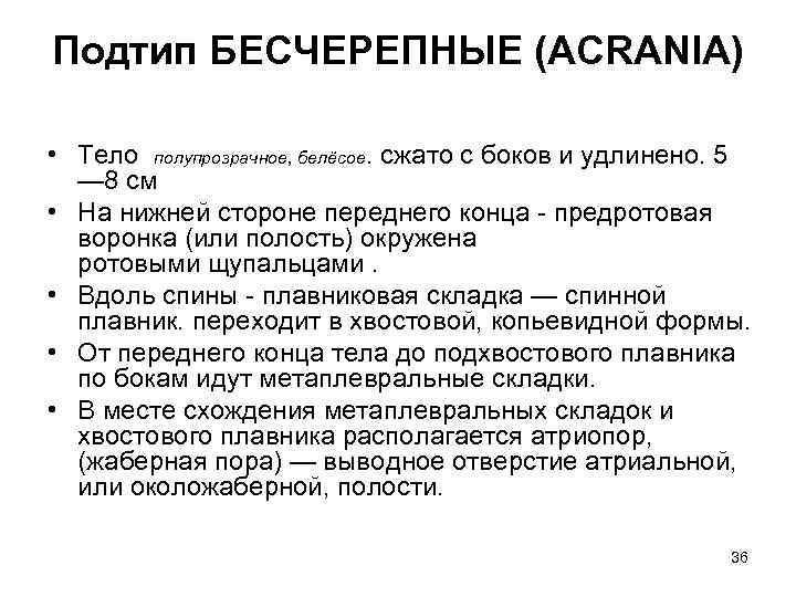 Подтип БЕСЧЕРЕПНЫЕ (ACRANIA) • Тело полупрозрачное, белёсое. сжато с боков и удлинено. 5 —