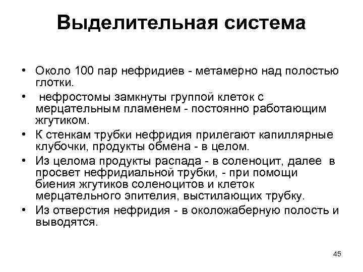 Выделительная система • Около 100 пар нефридиев - метамерно над полостью глотки. • нефростомы