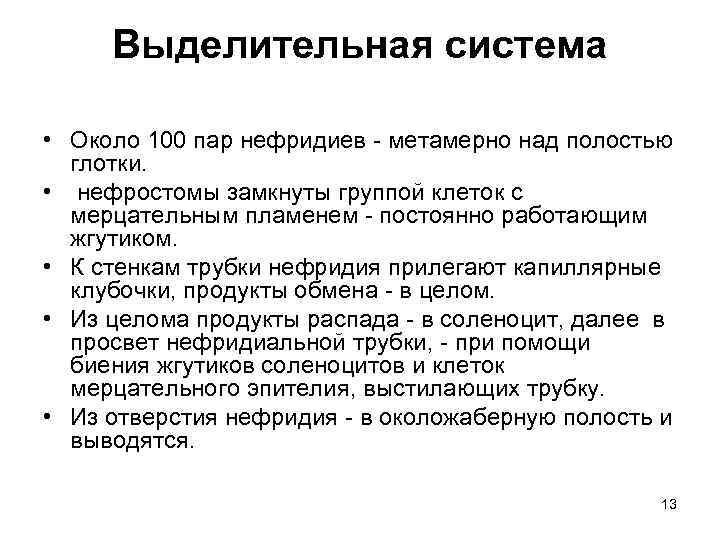 Выделительная система • Около 100 пар нефридиев - метамерно над полостью глотки. • нефростомы