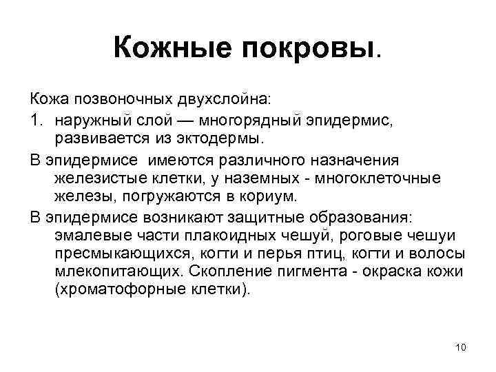 Кожные покровы. Кожа позвоночных двухслойна: 1. наружный слой — многорядный эпидермис, развивается из эктодермы.