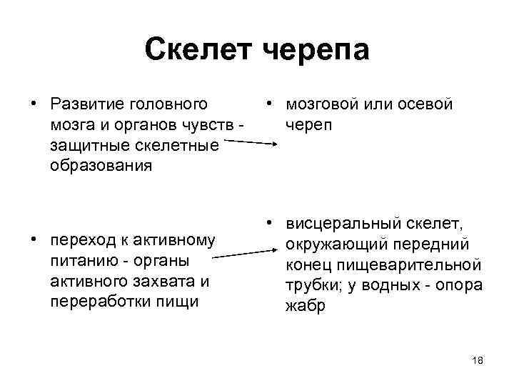 Скелет черепа • Развитие головного • мозговой или осевой мозга и органов чувств -