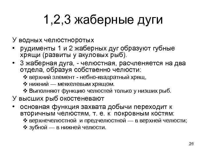 1, 2, 3 жаберные дуги У водных челюстноротых • рудименты 1 и 2 жаберных