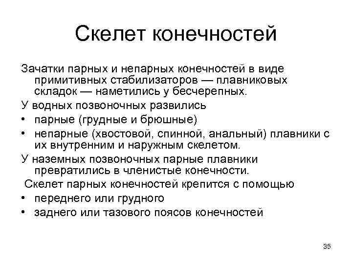 Скелет конечностей Зачатки парных и непарных конечностей в виде примитивных стабилизаторов — плавниковых складок