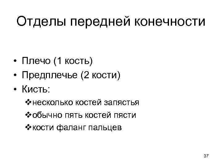 Отделы передней конечности • Плечо (1 кость) • Предплечье (2 кости) • Кисть: vнесколько