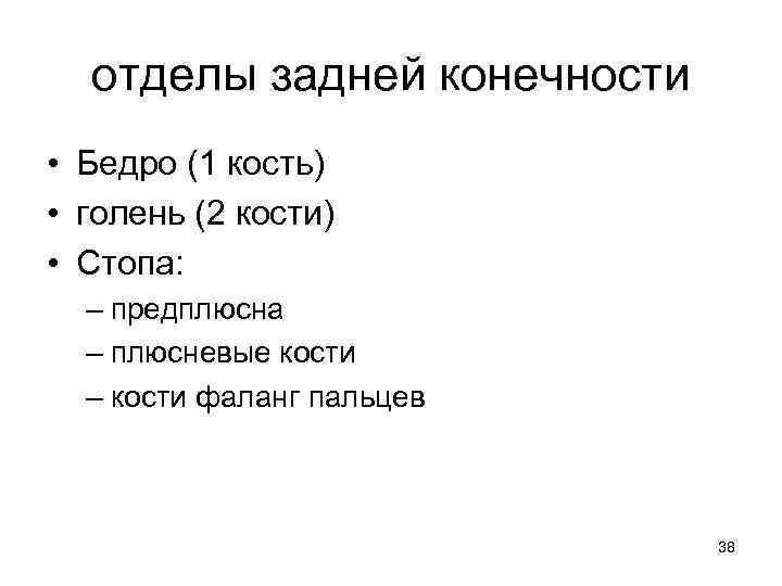 отделы задней конечности • Бедро (1 кость) • голень (2 кости) • Стопа: –