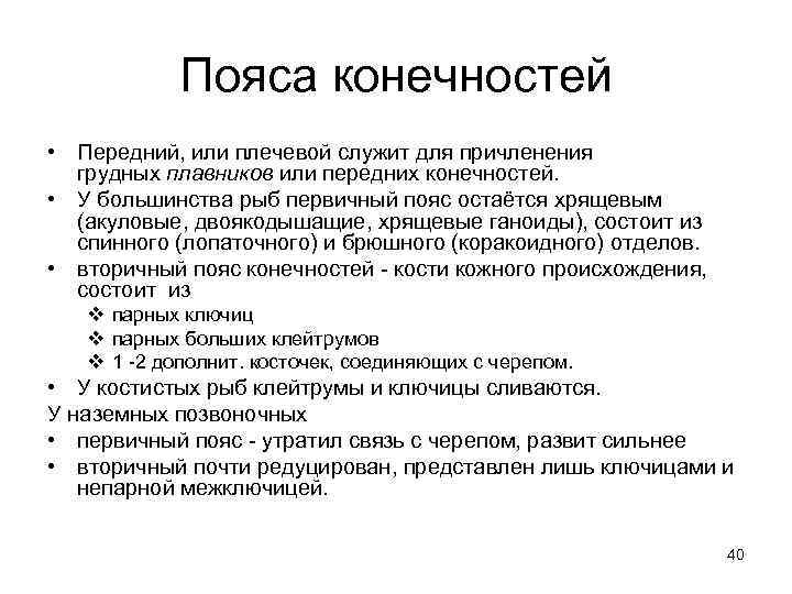 Пояса конечностей • Передний, или плечевой служит для причленения грудных плавников или передних конечностей.