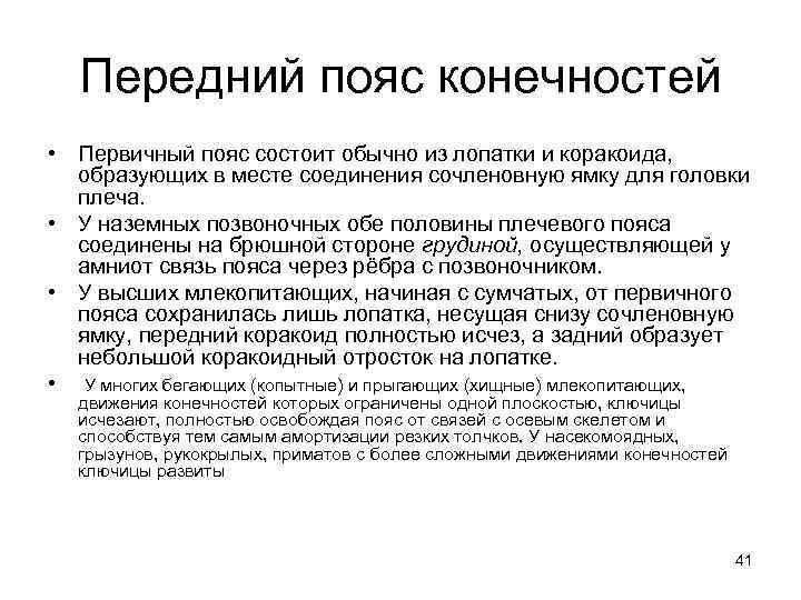 Передний пояс конечностей • Первичный пояс состоит обычно из лопатки и коракоида, образующих в