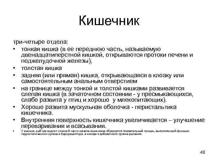 Кишечник три-четыре отдела: • тонкая кишка (в ее переднюю часть, называемую двенадцатиперстной кишкой, открываются