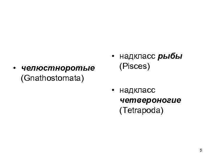  • челюстноротые (Gnathostomata) • надкласс рыбы (Pisces) • надкласс четвероногие (Tetrapoda) 5 
