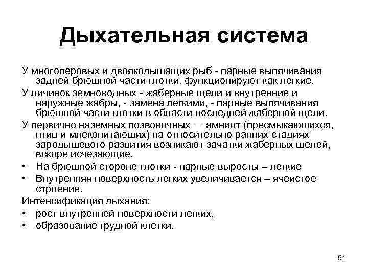 Дыхательная система У многоперовых и двоякодышащих рыб - парные выпячивания задней брюшной части глотки.