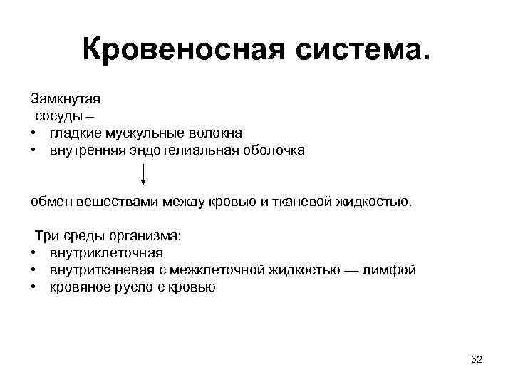 Кровеносная система. Замкнутая сосуды – • гладкие мускульные волокна • внутренняя эндотелиальная оболочка обмен
