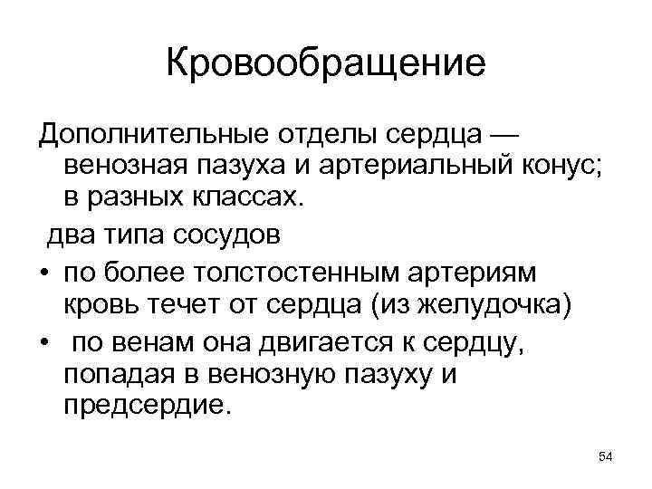 Кровообращение Дополнительные отделы сердца — венозная пазуха и артериальный конус; в разных классах. два