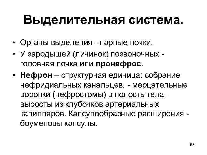 Выделительная система. • Органы выделения - парные почки. • У зародышей (личинок) позвоночных -