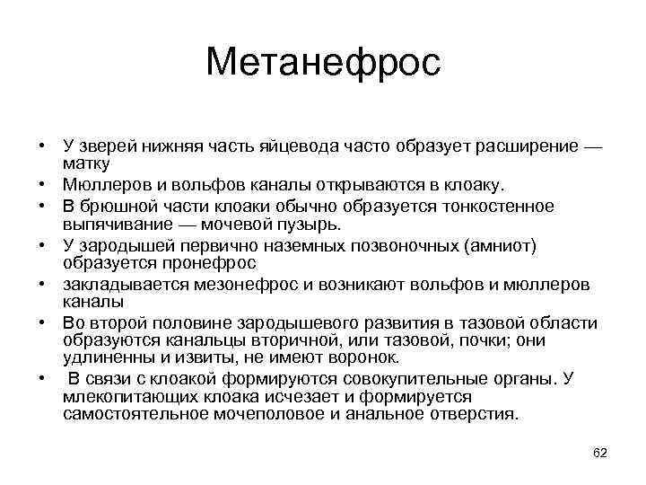 Метанефрос • У зверей нижняя часть яйцевода часто образует расширение — матку • Мюллеров