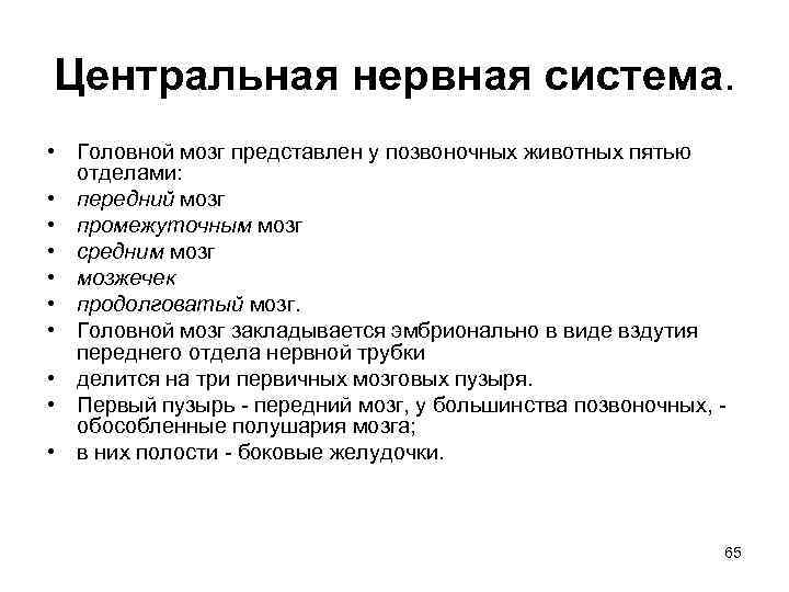 Центральная нервная система. • Головной мозг представлен у позвоночных животных пятью отделами: • передний