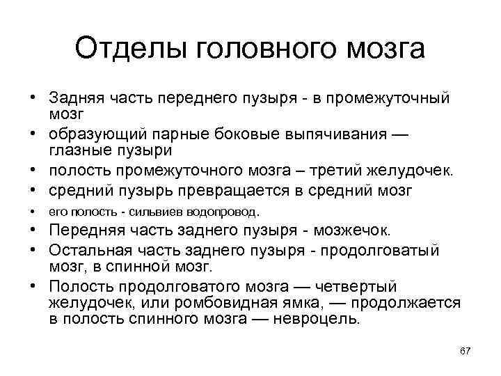 Отделы головного мозга • Задняя часть переднего пузыря - в промежуточный мозг • образующий