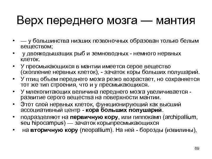 Верх переднего мозга — мантия • — у большинства низших позвоночных образован только белым