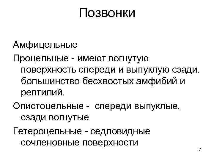 Позвонки Амфицельные Процельные - имеют вогнутую поверхность спереди и выпуклую сзади. большинство бесхвостых амфибий