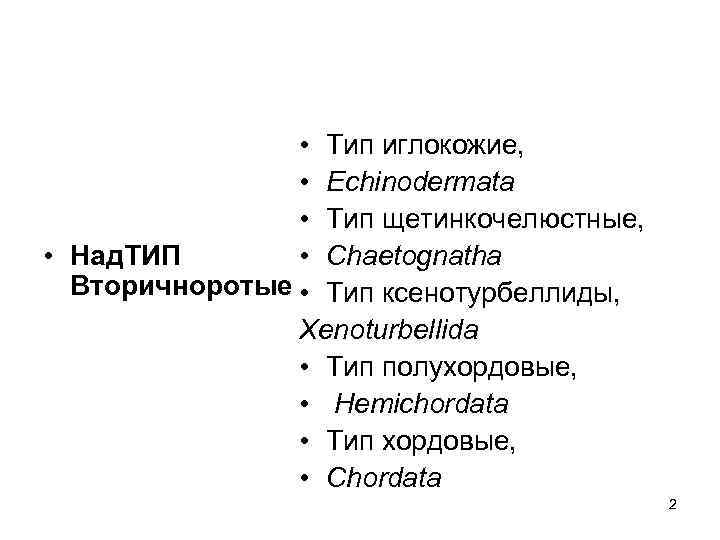  • Тип иглокожие, • Echinodermata • Тип щетинкочелюстные, • Над. ТИП • Chaetognatha