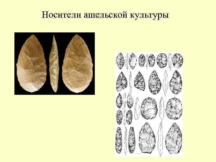 Носители ашельской культуры 