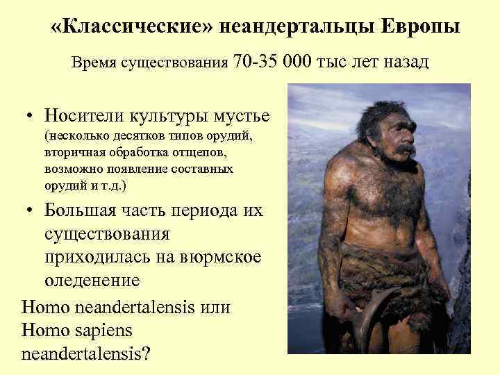  «Классические» неандертальцы Европы Время существования 70 -35 000 тыс лет назад • Носители